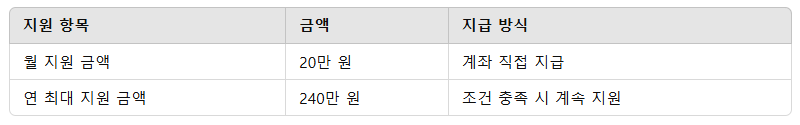 2025년 청년 지원 정책