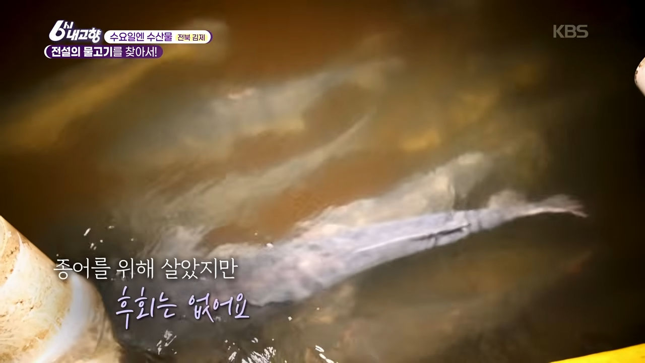 종어 관련 이미지
