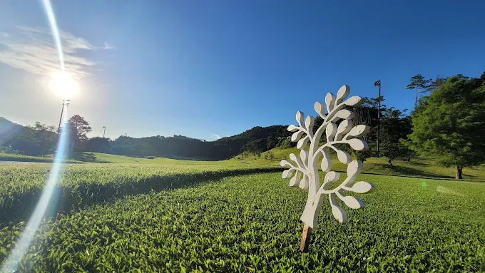 충남 아산 아름다운CC 골프장 소개 및 예약방법
