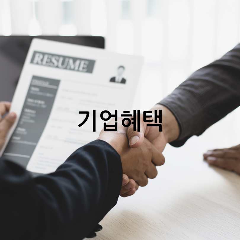 청년일자리도약장려금