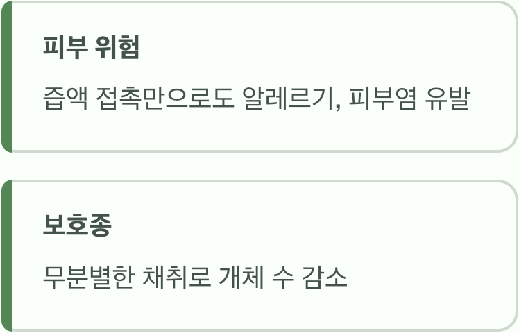 함부로 만지지도, 캐지도 마세요