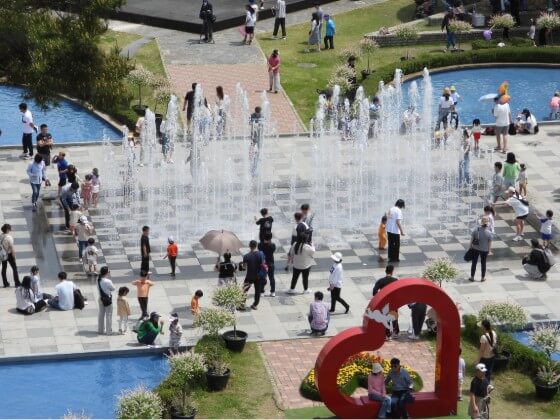 2025 함평 나비 축제 일정부터 주차·입장료까지! 꿀팁 총정리