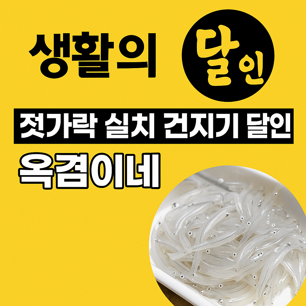 생활의 달인 젓가락 실치 건지기 달인 당진 장고항 실치회 맛집 옥겸이네