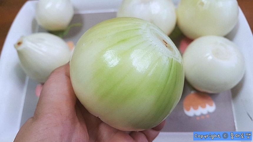 깐-양파