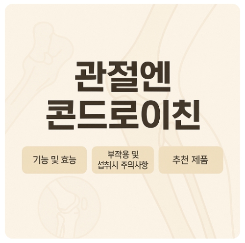 관절엔 콘드로이친