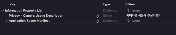 info.plist privacy settings camera
