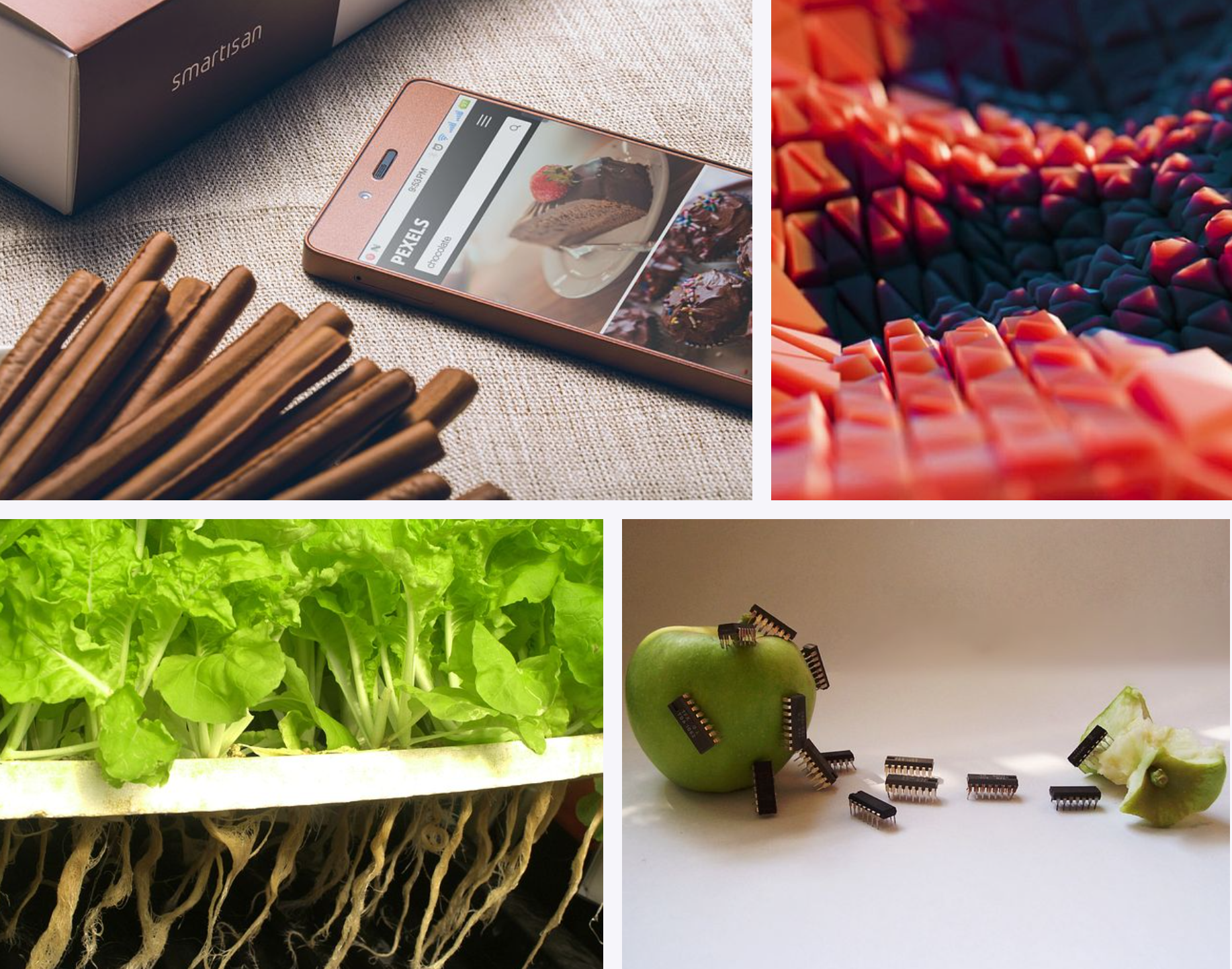 푸드테크 발전방안 농립축산식품부 발표!