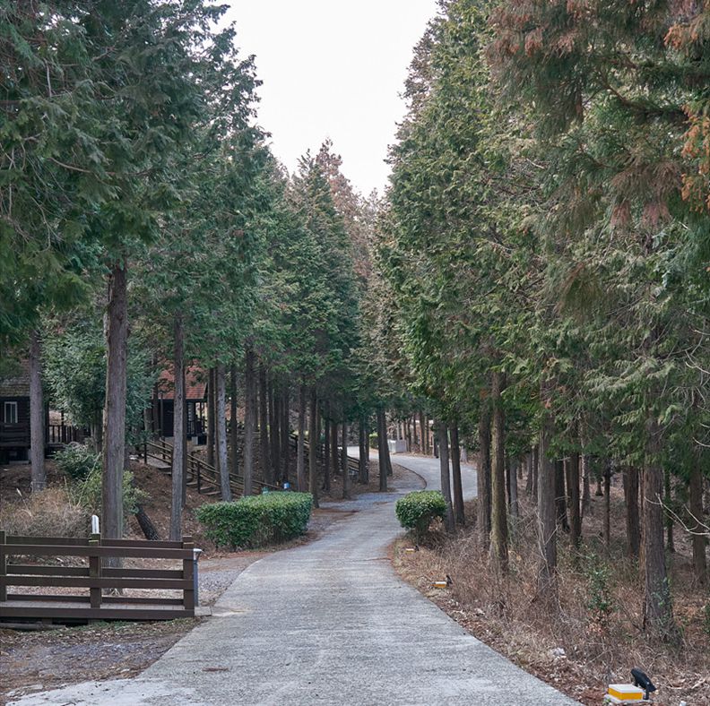 국립남해편백자연휴양림