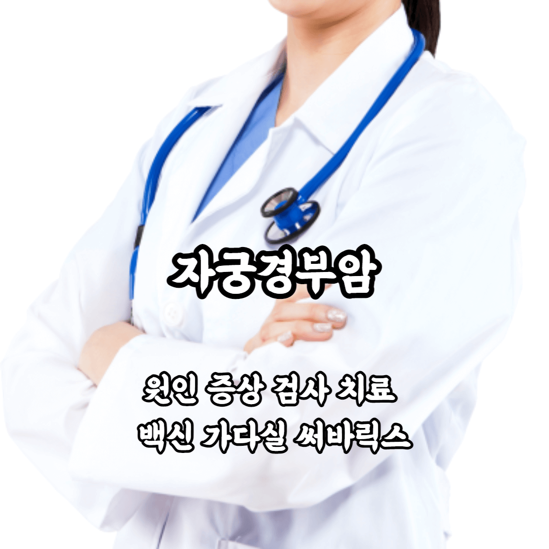 자궁경부암 자궁경부암 원인 증상 검사 치료 백신 가다실 써바릭스