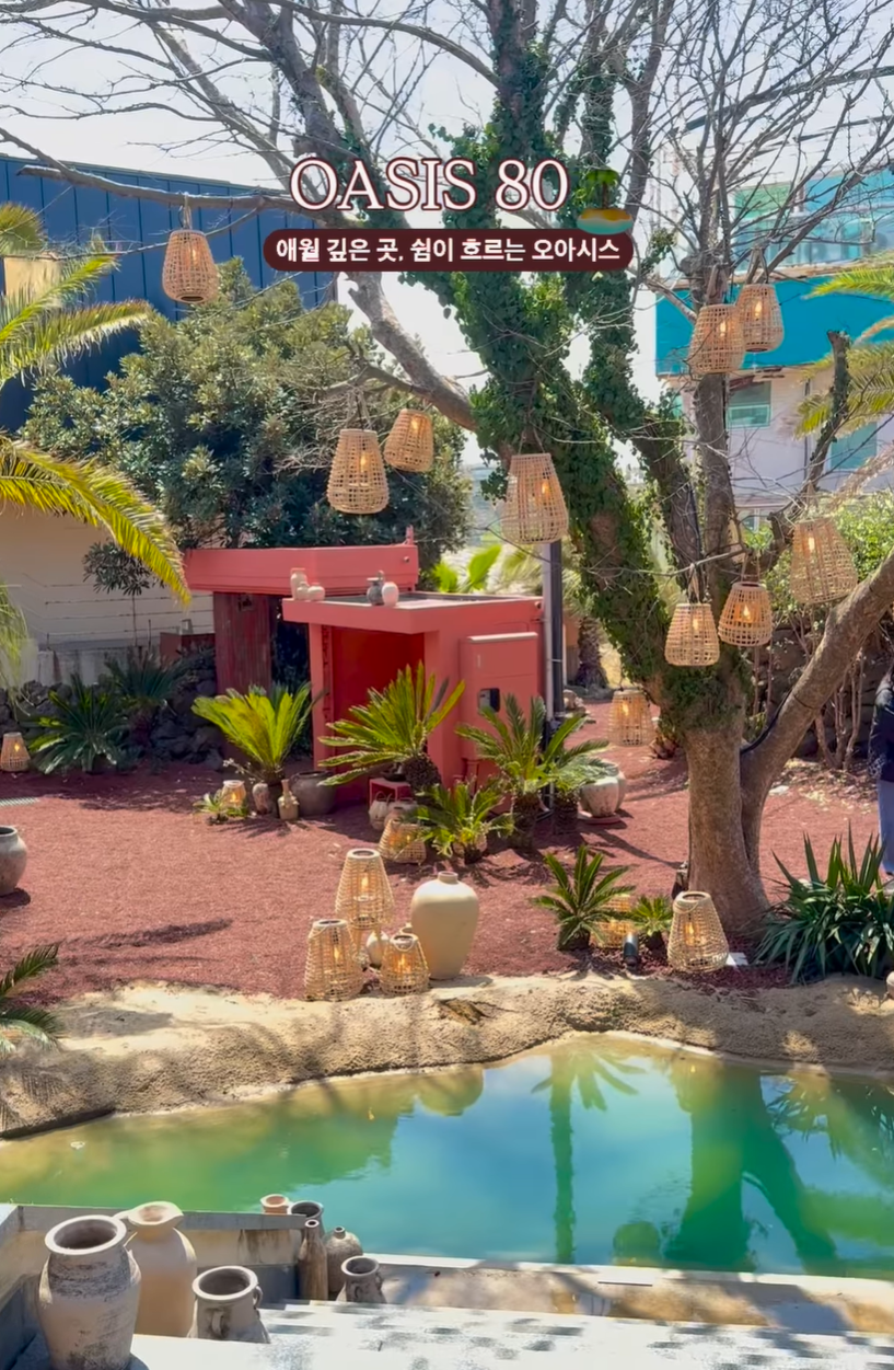 이동건 카페 오아시스80 애월카페거리