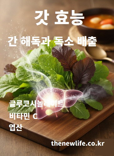 갓 효능 - 글루코시놀레이트와 비타민C가 간 해독 효소를 활성화하고 독소 배출을 돕는 이미지