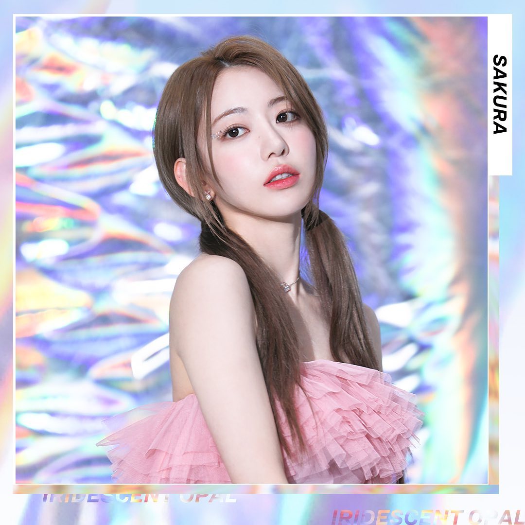 르세라핌 멤버 사쿠라