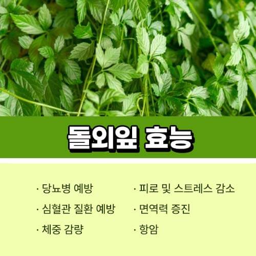 돌외잎 효능