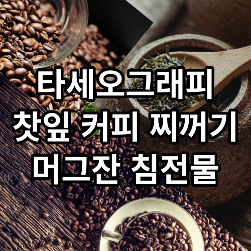 타세오그래피 찻잎 커피 찌꺼기 머그잔 침전물 예언