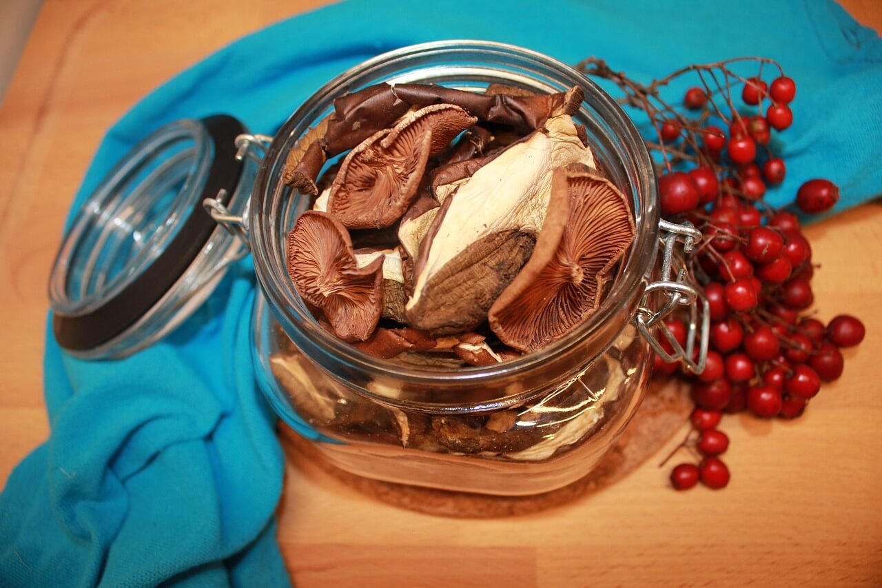 표고버섯 보관방법&amp;#44; 신선함을 오래 지키는 핵심 정리