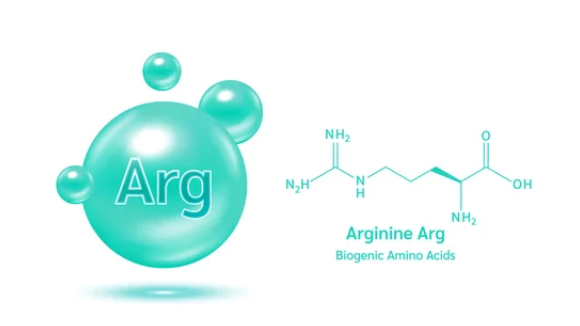 아르기닌의 효능과 부작용