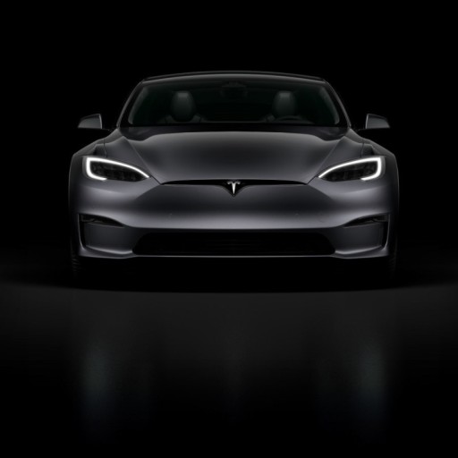 테슬라 MZ세대 관점