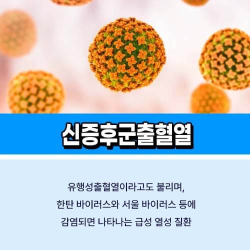신증후군출혈열