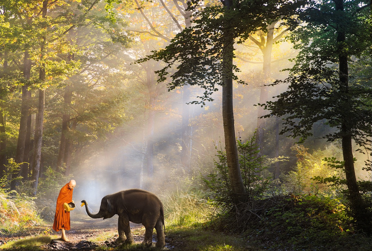 인간 행동과 동물 행동의 차이점,동물연구의 부적절성