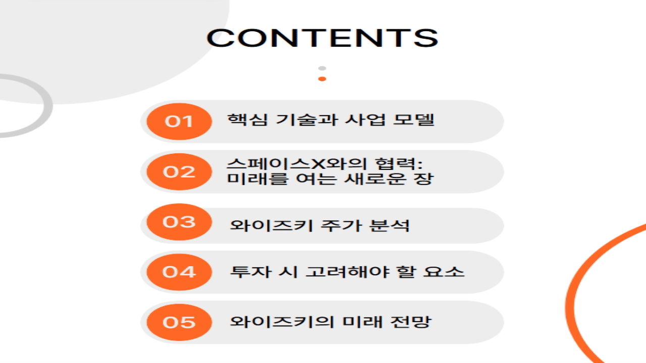 와이즈키 인터내셔널 홀딩 AG ADR 주가 전망 - 스페이스X와의 협력과 미래 가능성
