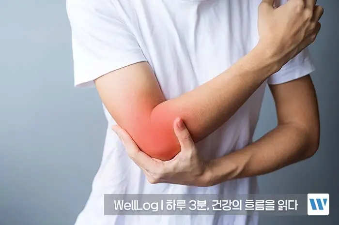 난각막가수분해물 효능, 복용법