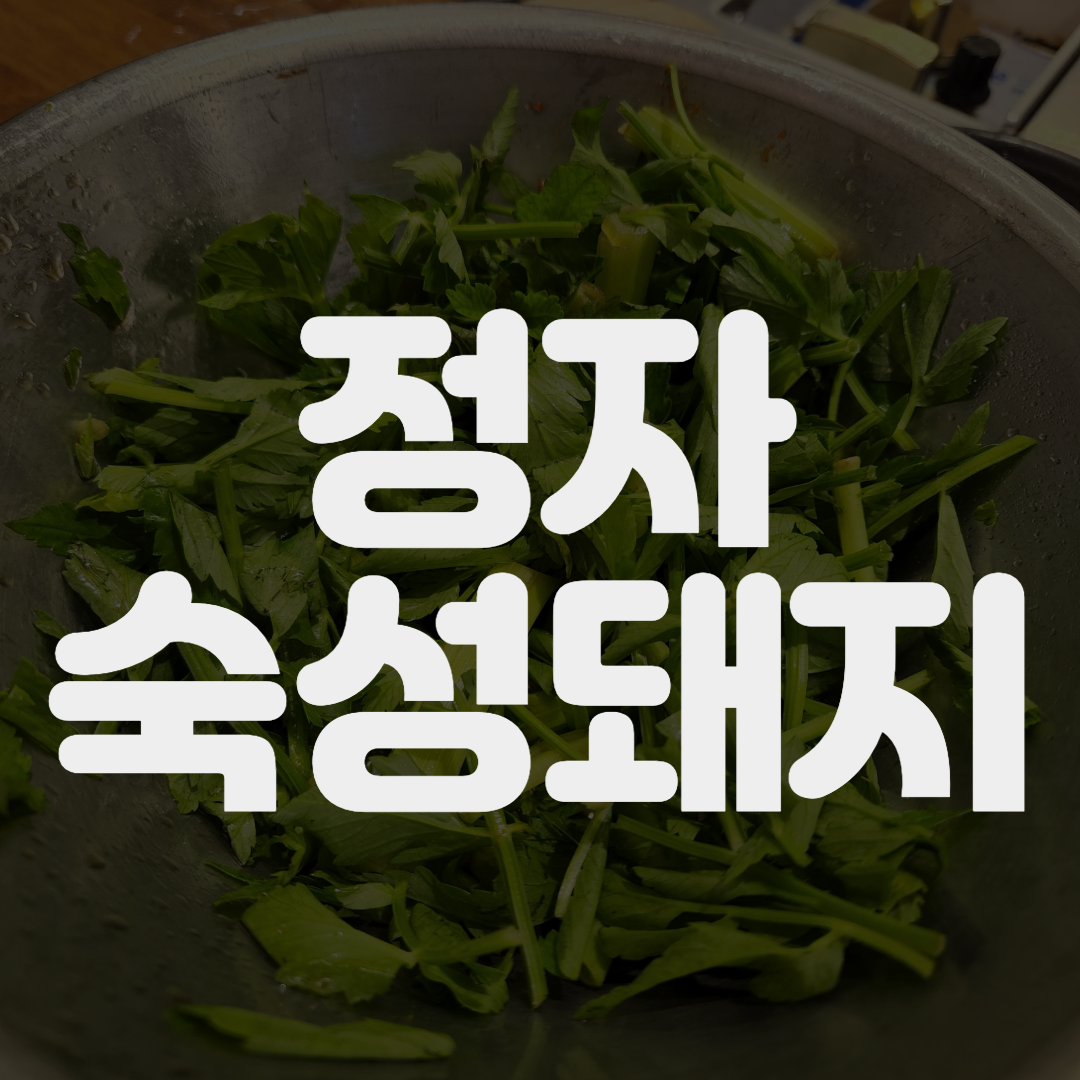 [분당/정자] 숙달돼지?숙성돼지!