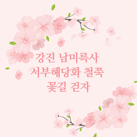강진 남미륵사