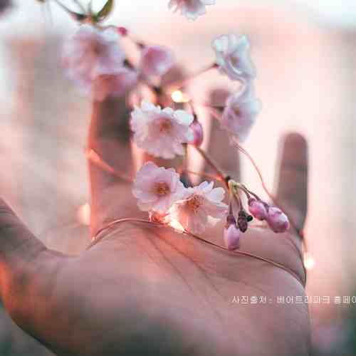 티스토리 최적화