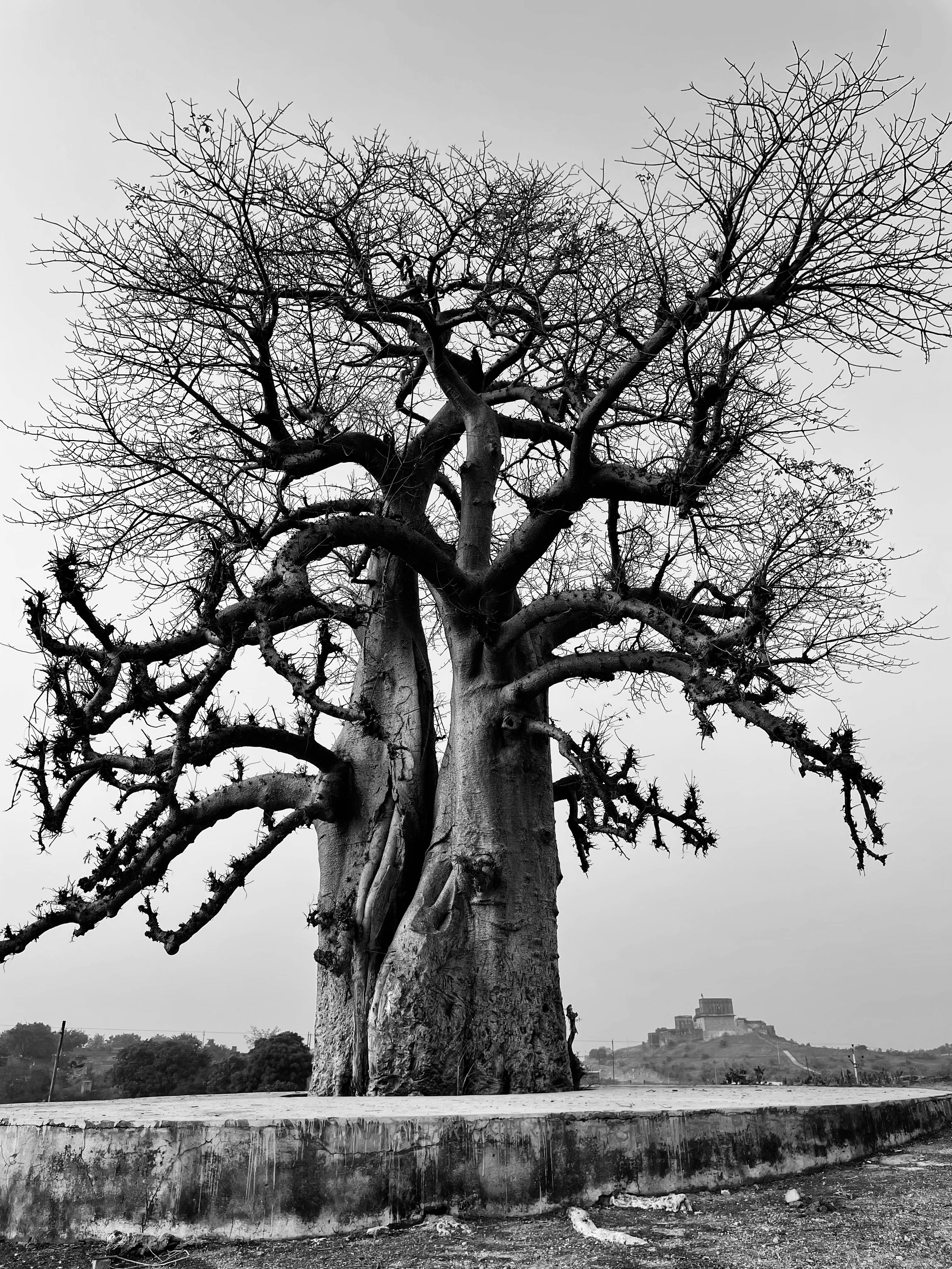 "해태제과 고객센터부터 해태몰까지: 인기 브랜드와 제품을 한눈에!"