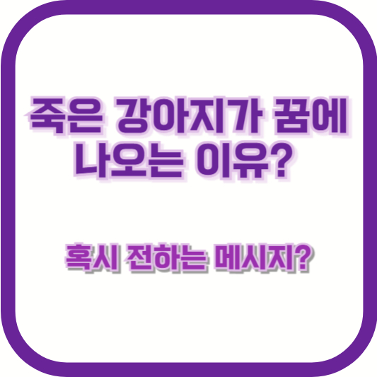 죽은 강아지가 꿈에 나오는 이유? 혹시 전하는 메시지?