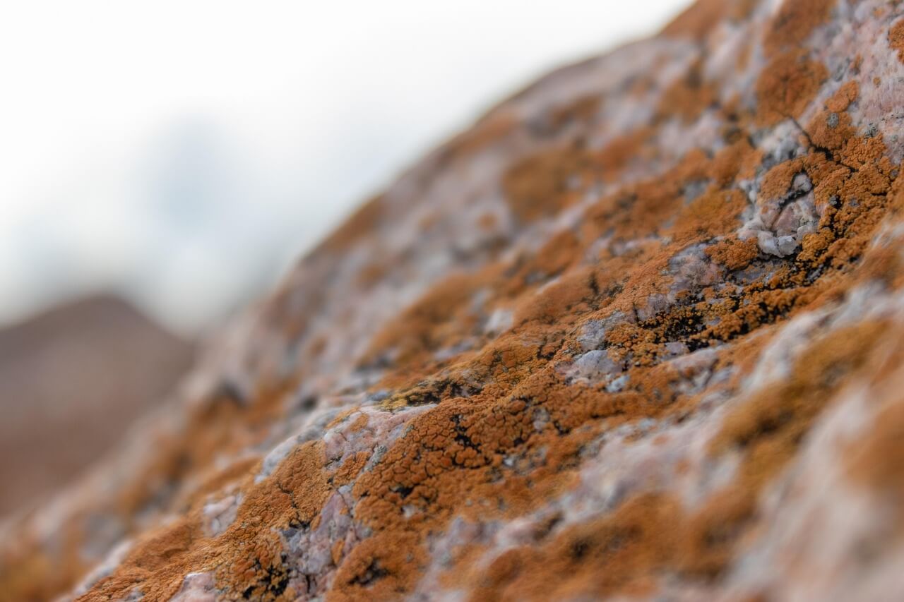 서울 서대문구 북가좌동 연립주택에서 기록한 공용 계단 습기·곰팡이 발생 구역 추적 기록