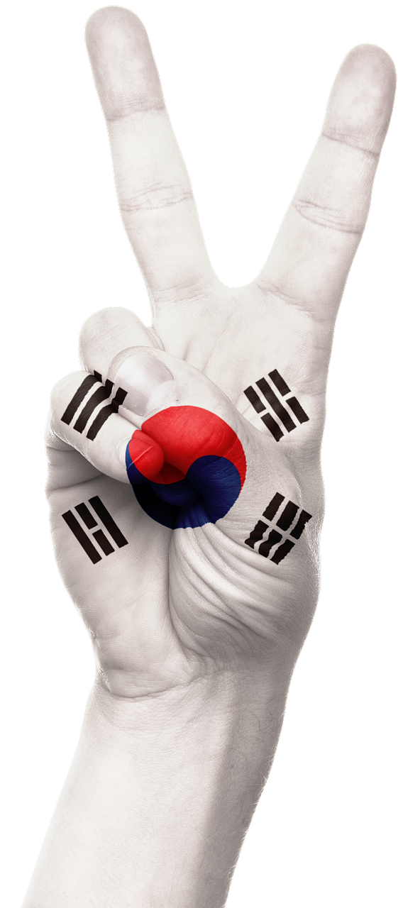 대한민국 국가의 자부심