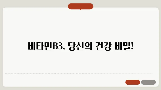 비타민B3 화채 정리