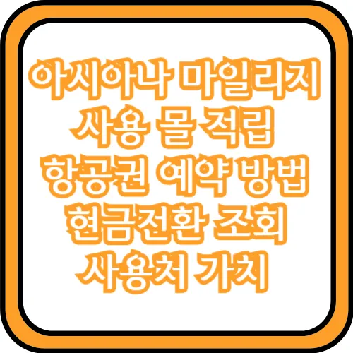 아시아나 마일리지 사용처