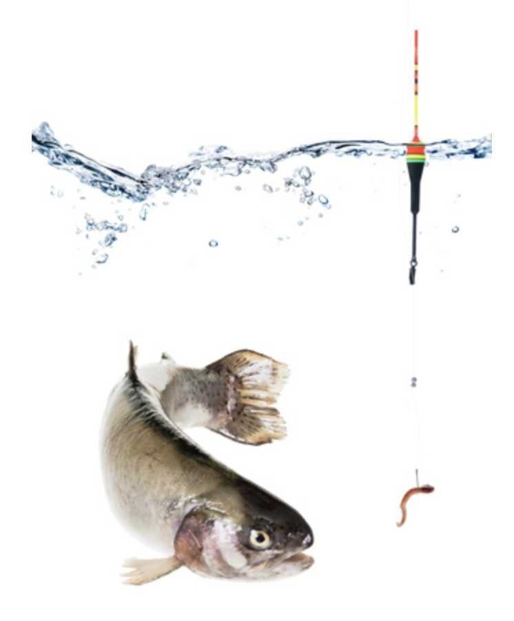 2025 평창송어축제