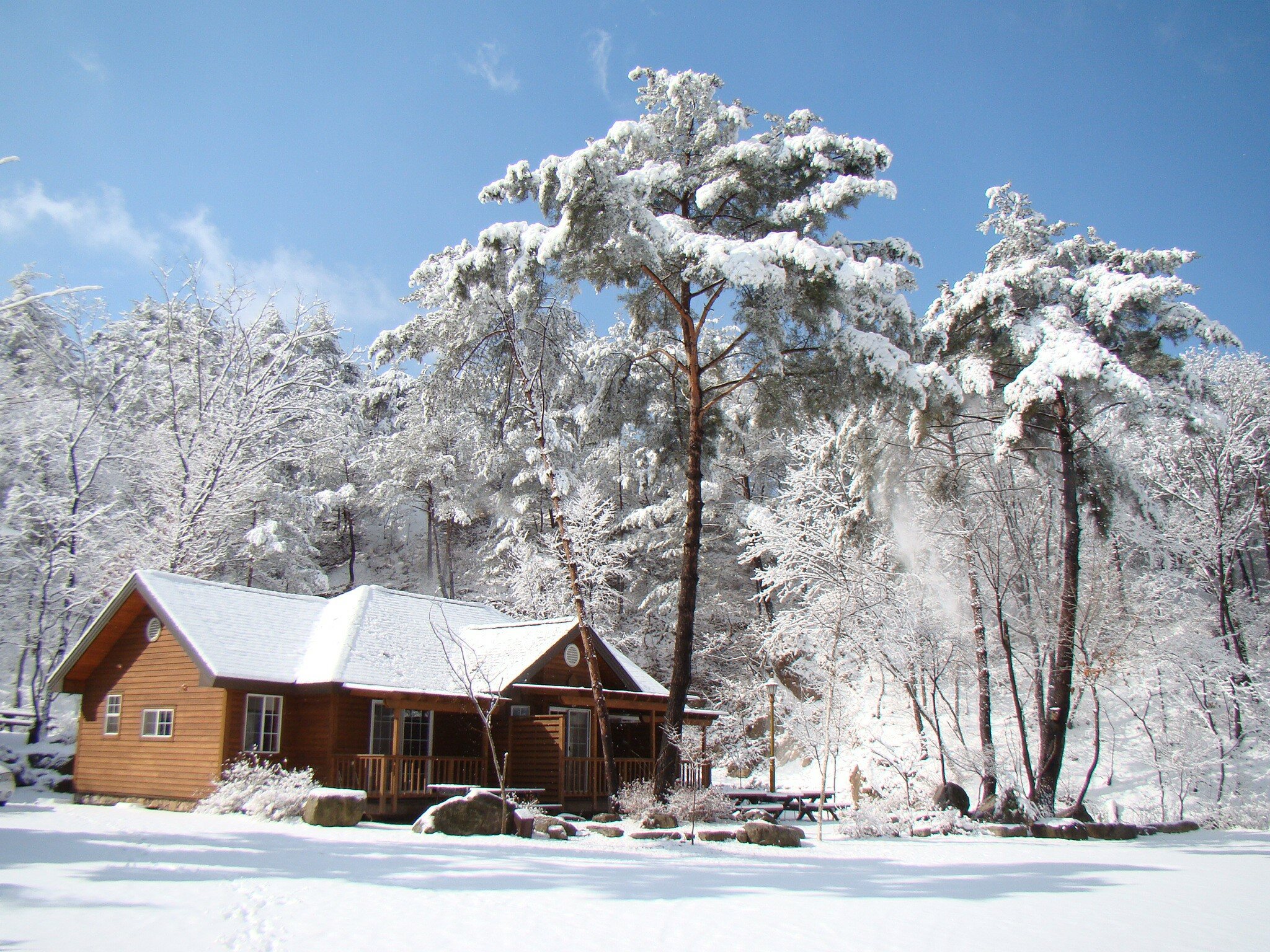 춘천 국립 용화산 자연휴양림 예약 방법 강원도 캠핑 계곡 물놀이 할인 날씨 정보