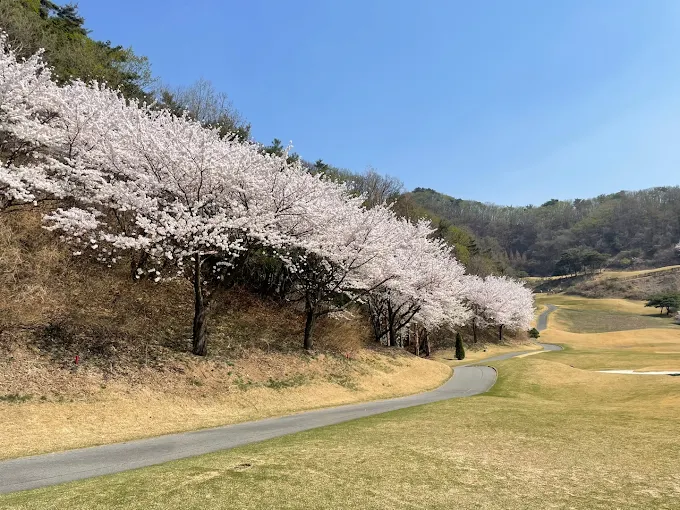 안성 베네스트 골프클럽 골프장 소개 및 예약방법