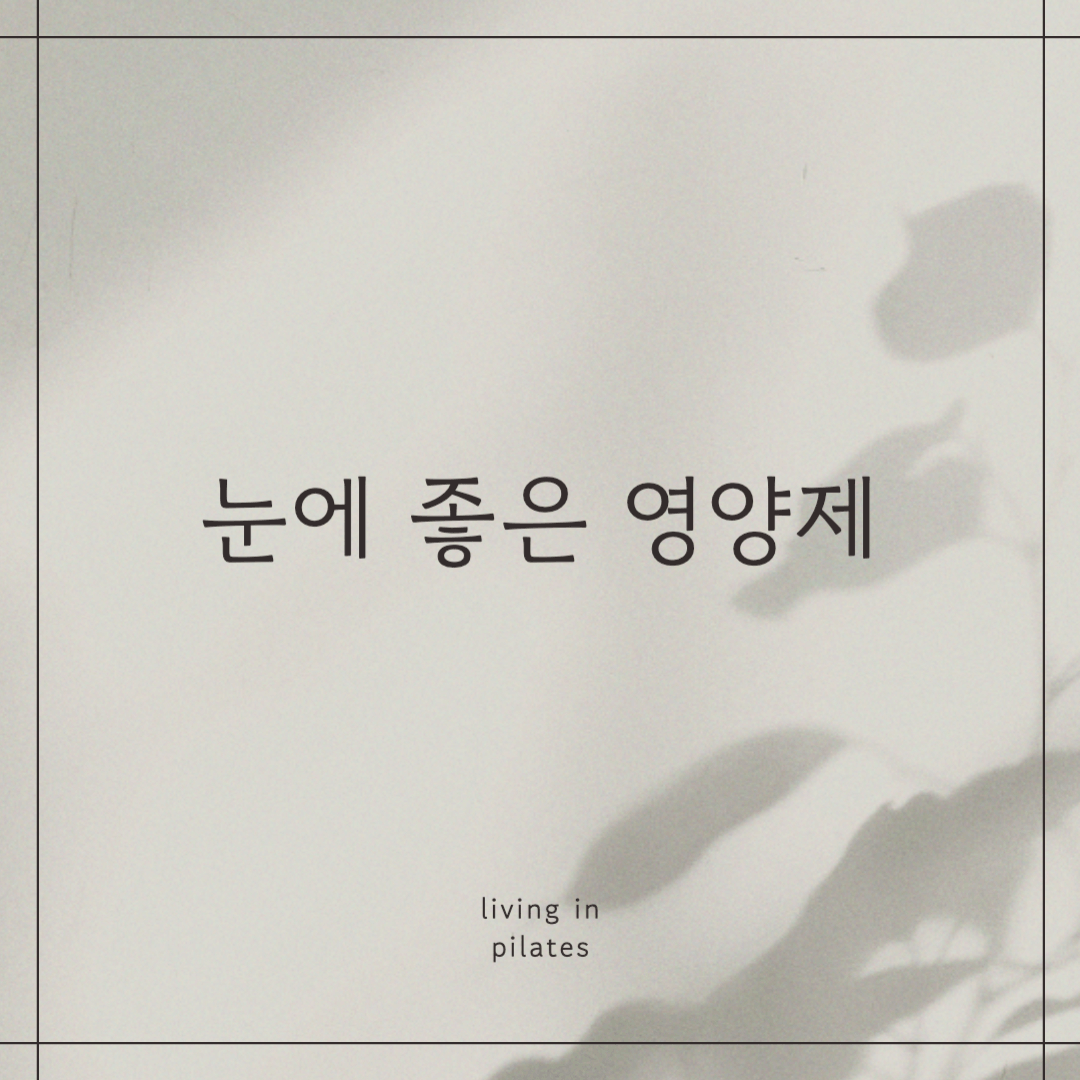 눈에좋은영양제