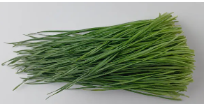 간에 좋은 음식