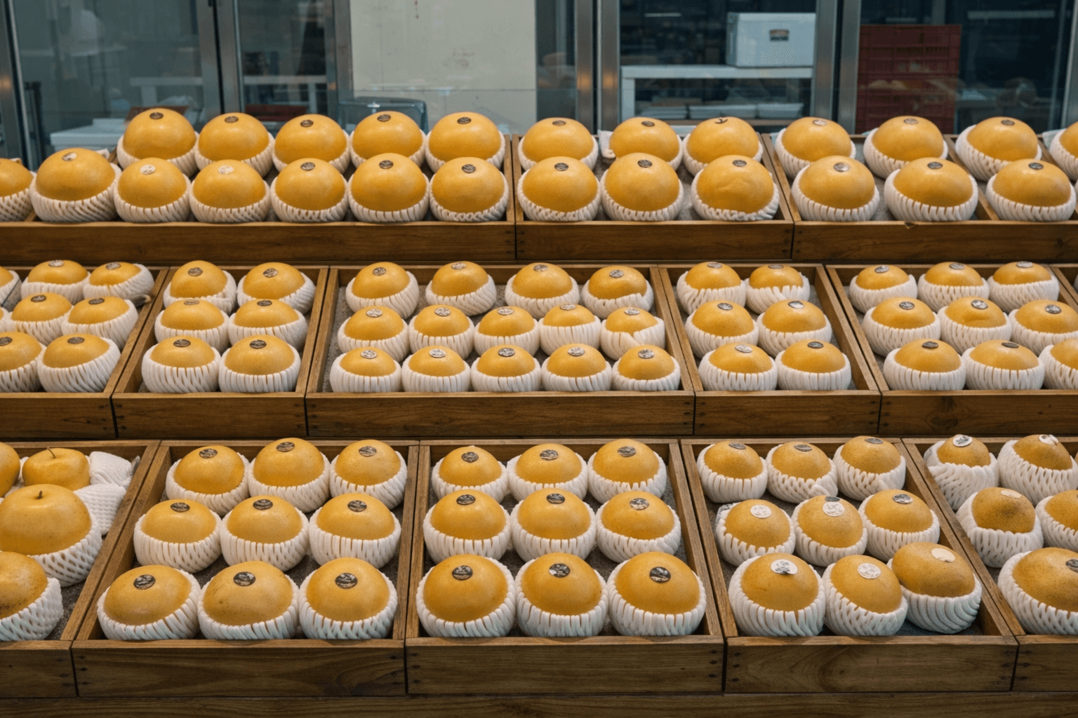 한국 배 시장 트렌드 변화 (원황, 황금배, 장십랑)