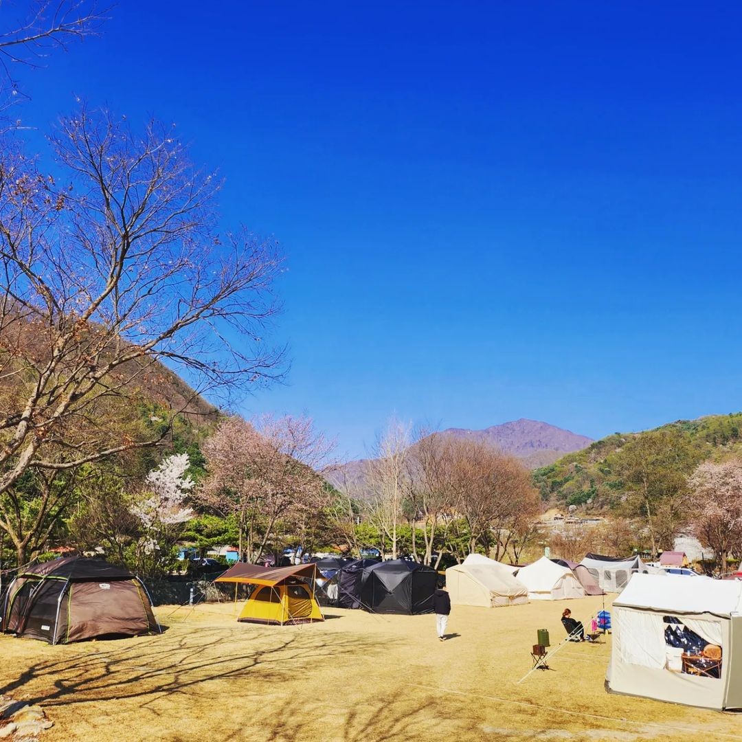 그래가 캠핑장 (애견동반가능)