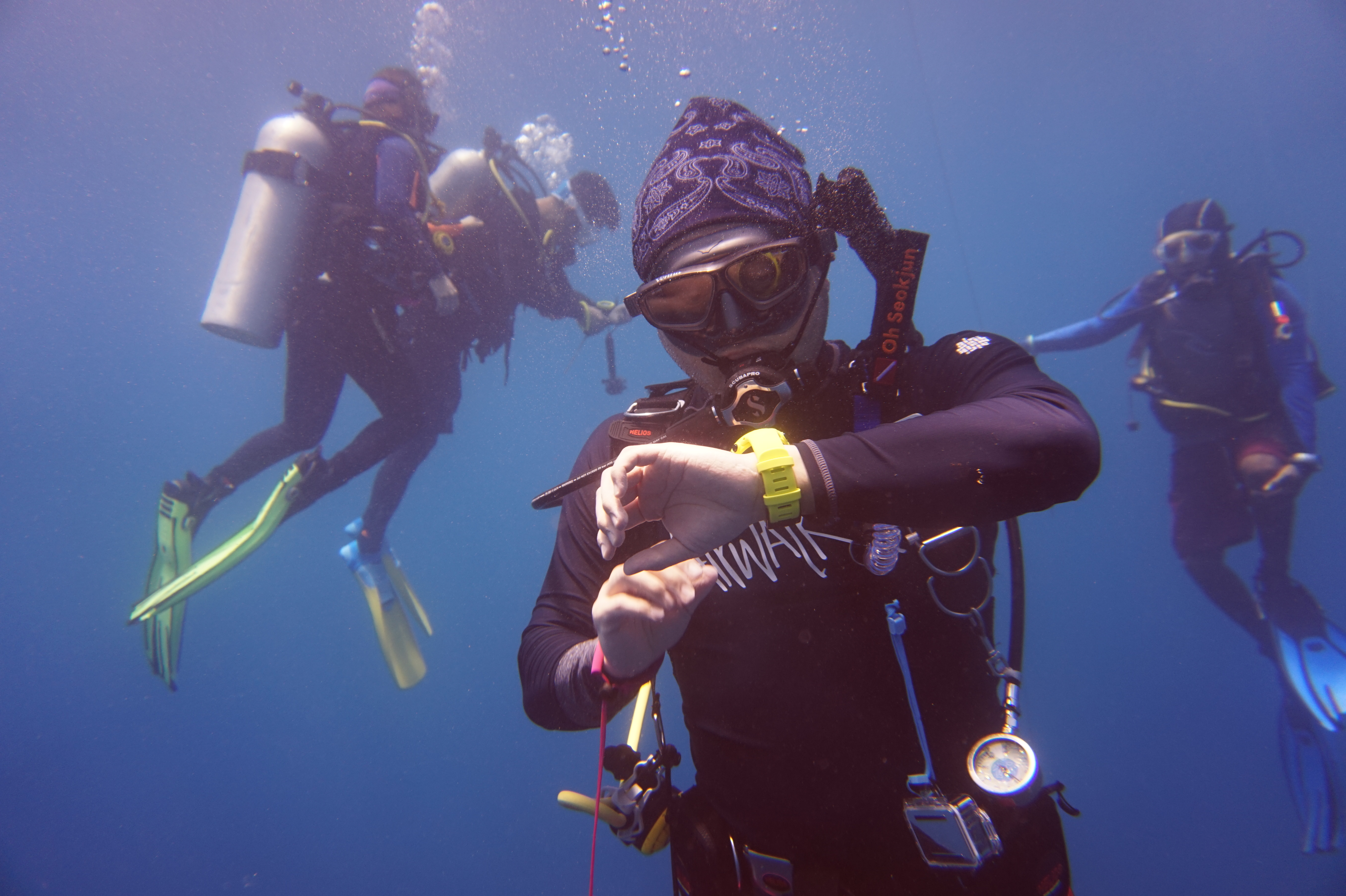 스쿠버다이빙 전용 보험 관련 사진
