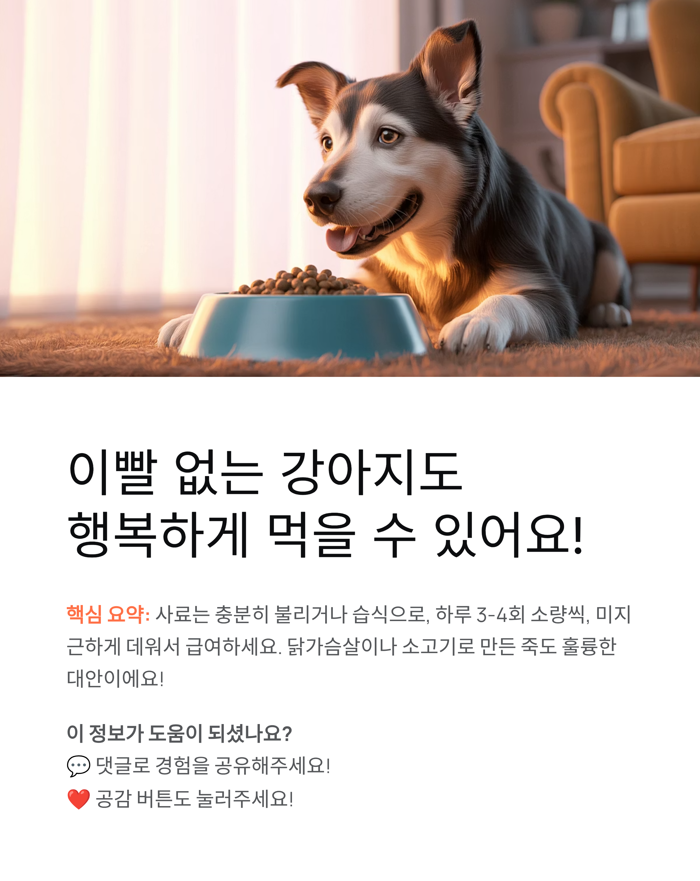 이빨없는 강아지 밥먹이기 - 노견 사료와 유동식 완벽 가이드! 🐶