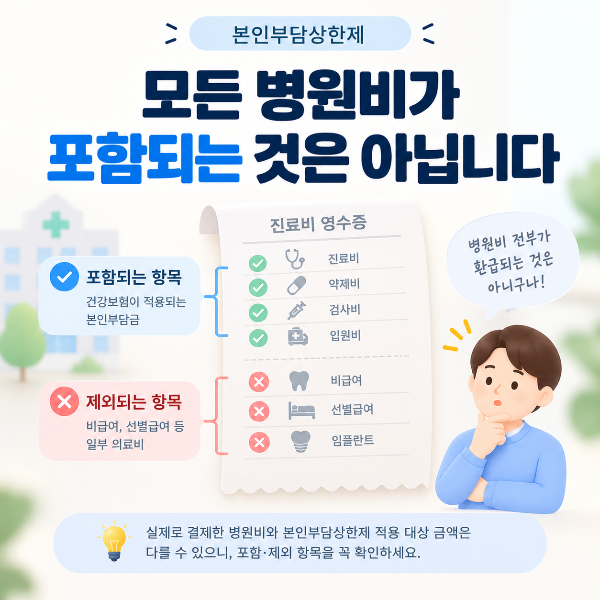 비급여 등 일부 의료비가 본인부담상한제 계산에서 제외되는 것을 표현한 이미지