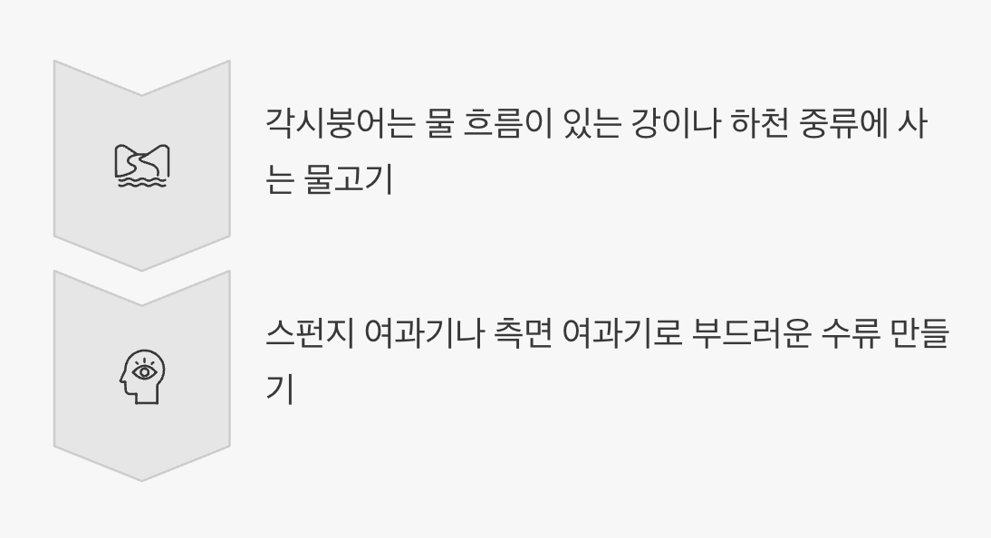 고요한 물, 지루함의 감옥