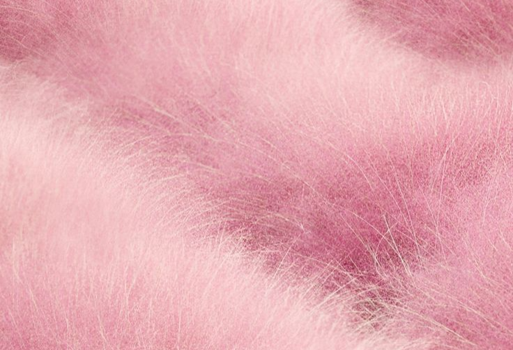 서울의 가을 핑크뮬리