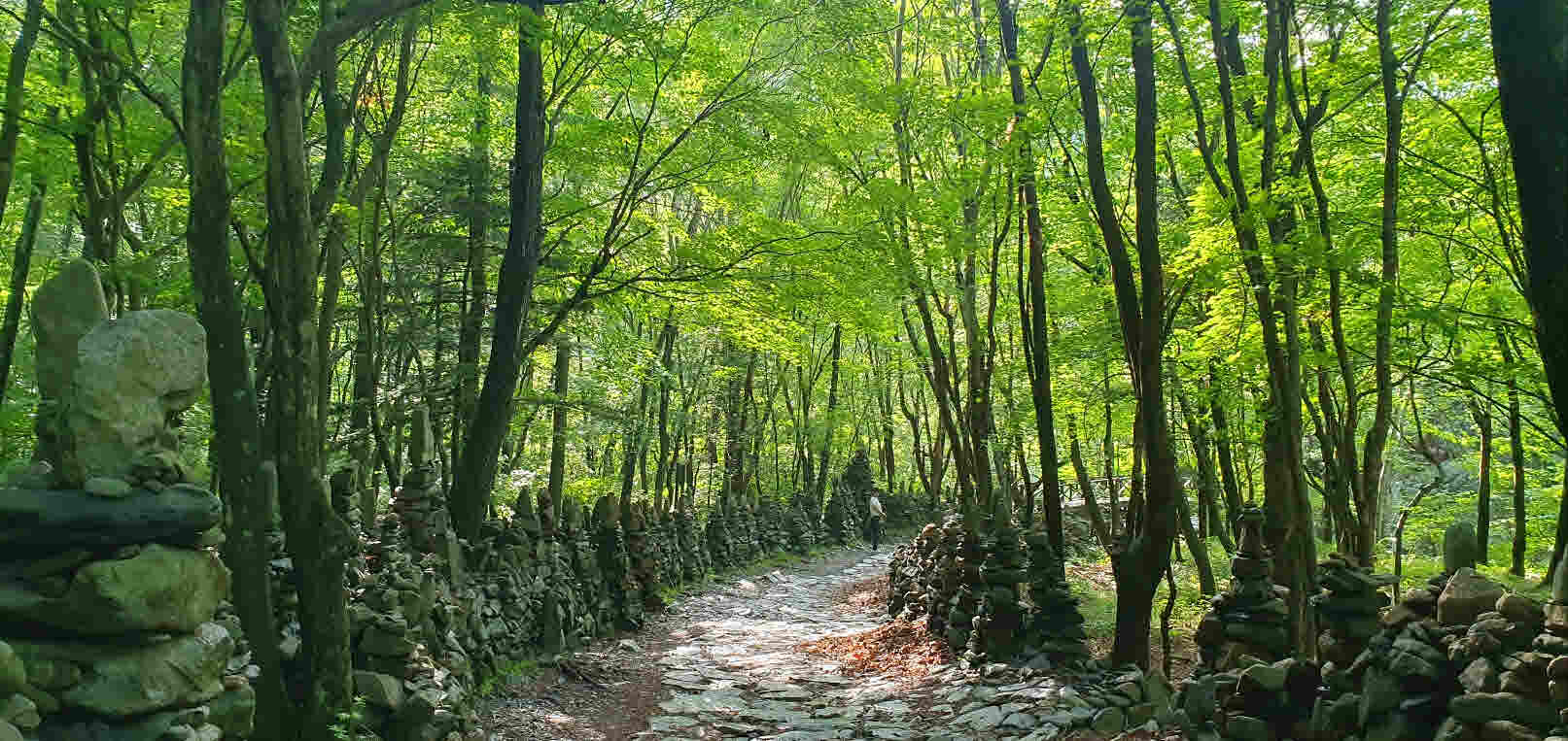 노추산 모정탑