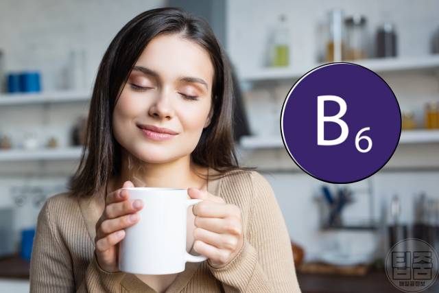 대추 매일 먹으면 3개 대추효능 스트레스