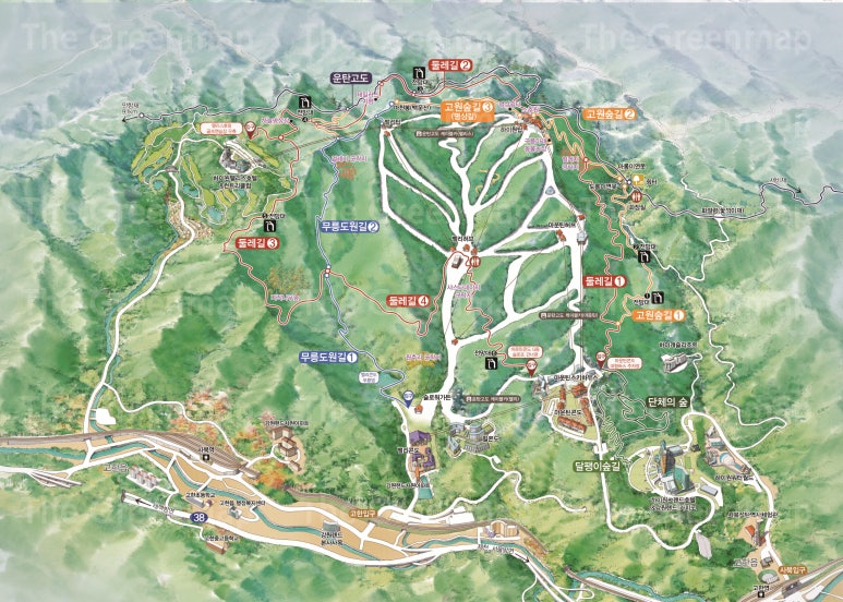 ▲ 스키 슬로프를 중심으로 둥글게 이어지는 하늘길 전체 코스 뷰