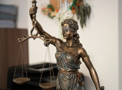 법대생 추천 영화 관련 사진